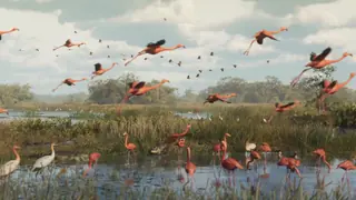 The official GTA VI trailer frames Leonida as more than Vice City, with wetlands and wildlife part of the confirmed setting.