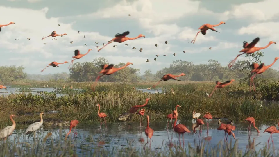 Official Leonida Wetlands Trailer Still - Inline